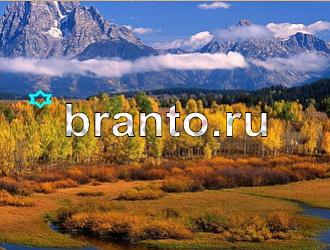 ответы на игру Найди животных Уровень 478