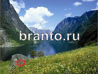 ответы на игру Найди животных Уровень 480