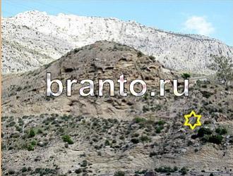 ответы на игру Найди животных Уровень 482