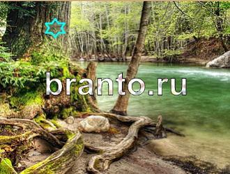 ответы на игру Найди животных Уровень 483