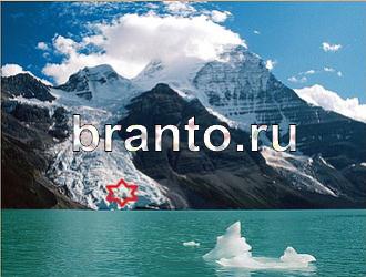 ответы на игру Найди животных Уровень 484