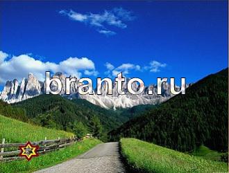 ответы на игру Найди животных Уровень 486