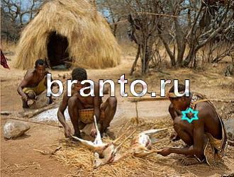 ответы на игру Найди животных Уровень 488