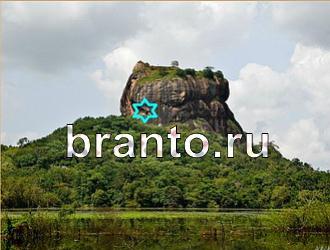 ответы на игру Найди животных Уровень 489