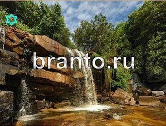 ответы на игру Найди животных Уровень 490