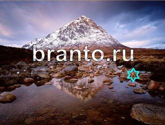 ответы на игру Найди животных Уровень 492