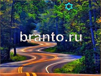 ответы на игру Найди животных Уровень 493