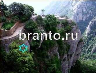 ответы на игру Найди животных Уровень 494