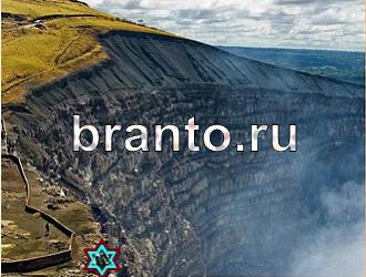 ответы на игру Найди животных Уровень 495