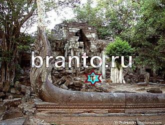 ответы на игру Найди животных Уровень 496