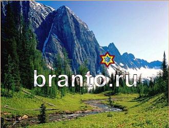 ответы на игру Найди животных Уровень 498