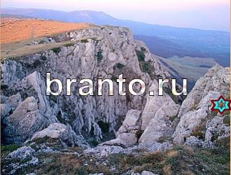 ответы на игру Найди животных Уровень 499