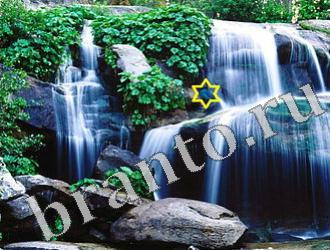 Найди животных игра ответы Уровень 1151