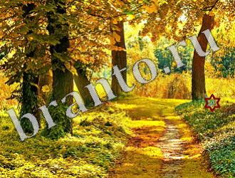 ответы на игру Найди животных Уровень 1152