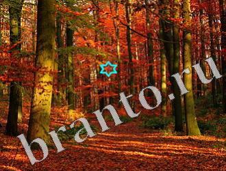 ответы на игру Найди животных Уровень 1154