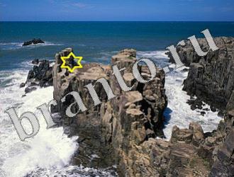 Найди животных решебник Уровень 1155