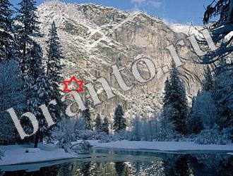 ответы на игру Найди животных Уровень 1156