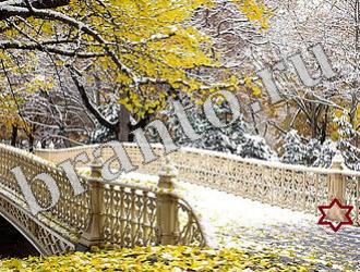 ответы на игру Найди животных Уровень 1161