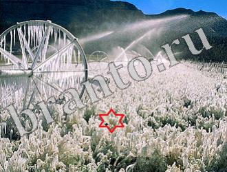 ответы на игру Найди животных Уровень 1163