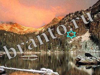 ответы на игру Найди животных Уровень 1164