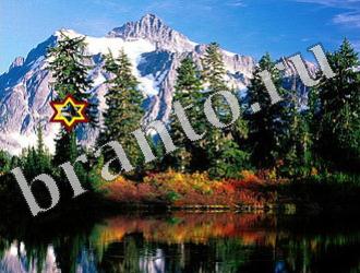 ответы на игру Найди животных Уровень 1166