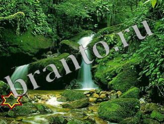 ответы на игру Найди животных Уровень 1167