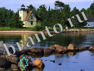 ответы на игру Найди животных Уровень 1169