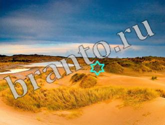 ответы на игру Найди животных Уровень 1171