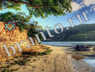 ответы на игру Найди животных Уровень 1172