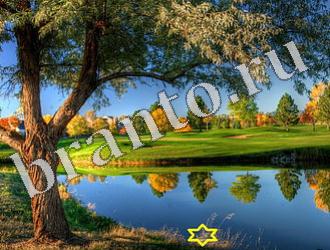 ответы на игру Найди животных Уровень 1173