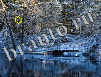 ответы на игру Найди животных Уровень 1175