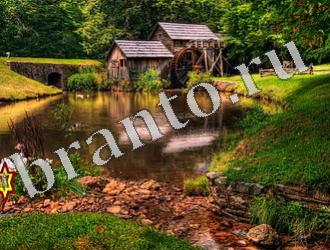 ответы на игру Найди животных Уровень 1176