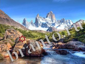 ответы на игру Найди животных Уровень 1179