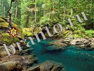 ответы на игру Найди животных Уровень 1180