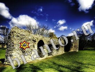 Найди животных ответы на игру Уровень 1181