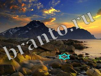 ответы к игре Найди животных Уровень 1183