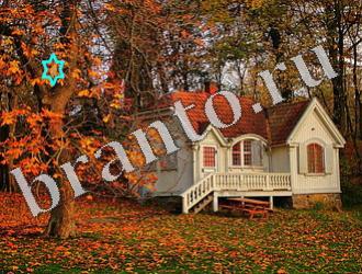 ответы на игру Найди животных Уровень 1184