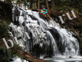 ответы на игру Найди животных Уровень 1185