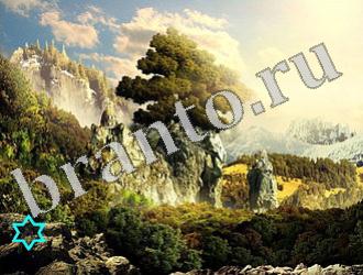 ответы на игру Найди животных Уровень 1186