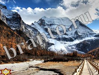 Найди животных Ответы Уровень 1189