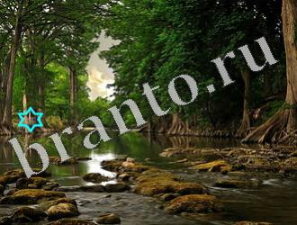 ответы на игру Найди животных Уровень 1190