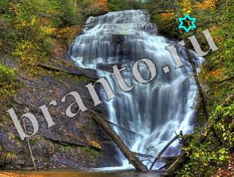 ответы на игру Найди животных Уровень 1192