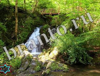 Игра Найди животных ответы Уровень 1193