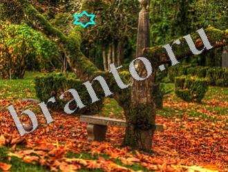 подсказки Найди животных Уровень 1194