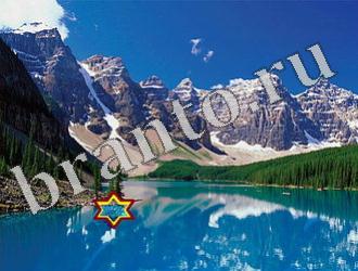 ответы на игру Найди животное Уровень 1195