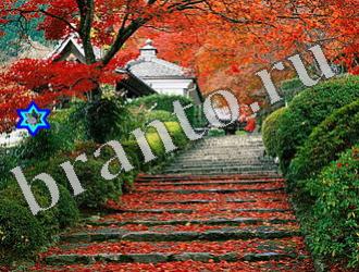 ответы на игру Найди животных Уровень 1198