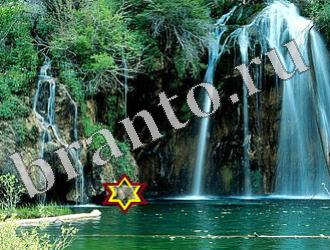 помощь на игру Найди животных Уровень 1199