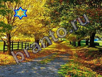 ответы на игру Найди животных Уровень 1452