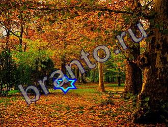 подсказки к игре Найди животных Уровень 1453