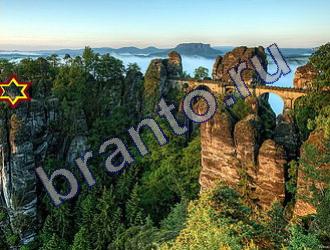 ответы на игру Найди животных Уровень 1454